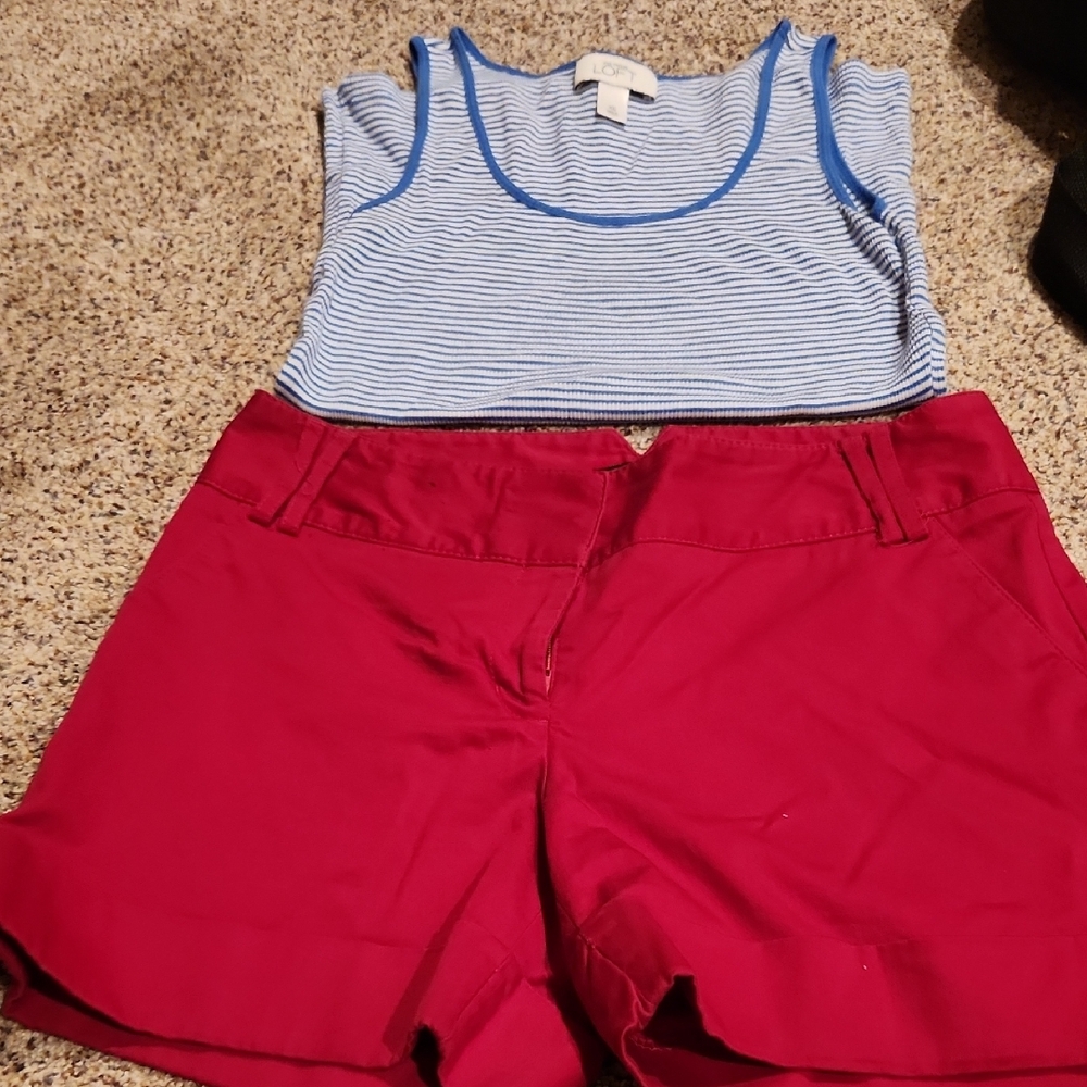 Express Scarl with Black Lining